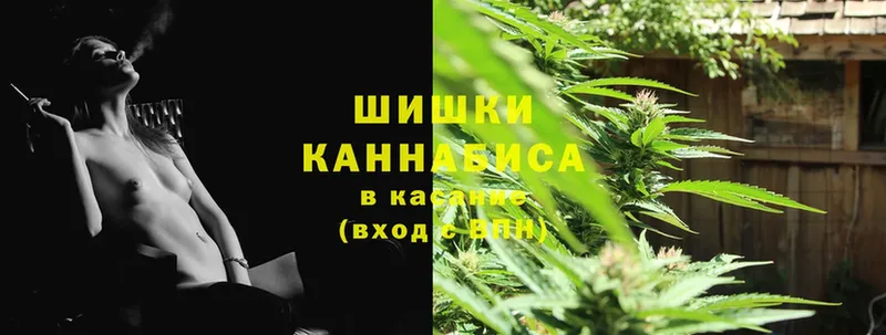 Шишки марихуана THC 21%  Краснозаводск 